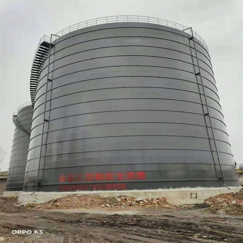 阜沙镇3万吨大型钢板库