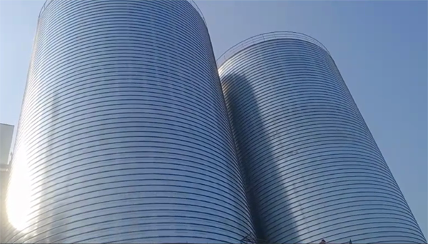 阜沙镇2座混凝土高架卷板仓